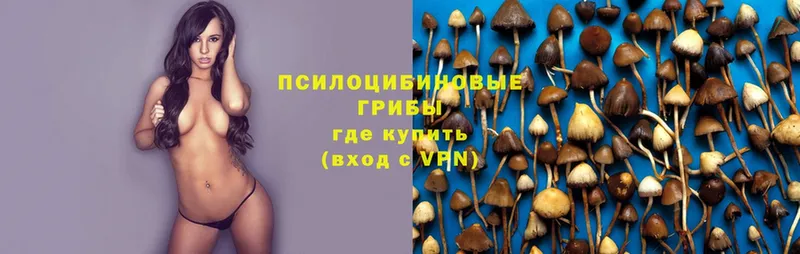 Галлюциногенные грибы Psilocybe  ОМГ ОМГ зеркало  Долинск 